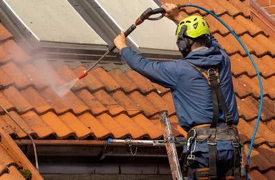 Démoussage et hydrofuge de toiture à Laqueuille